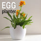 Egg Planter B