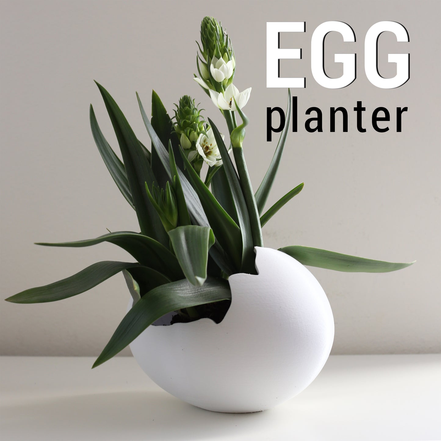 Egg Planter A