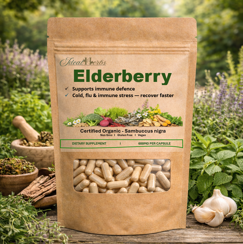 ELDERBERRY