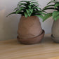 Minimal Planter #2