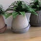Minimal Planter #1