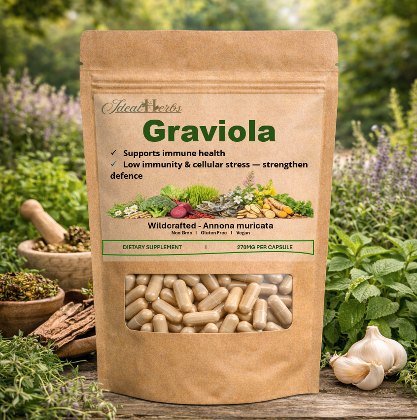 GRAVIOLA
