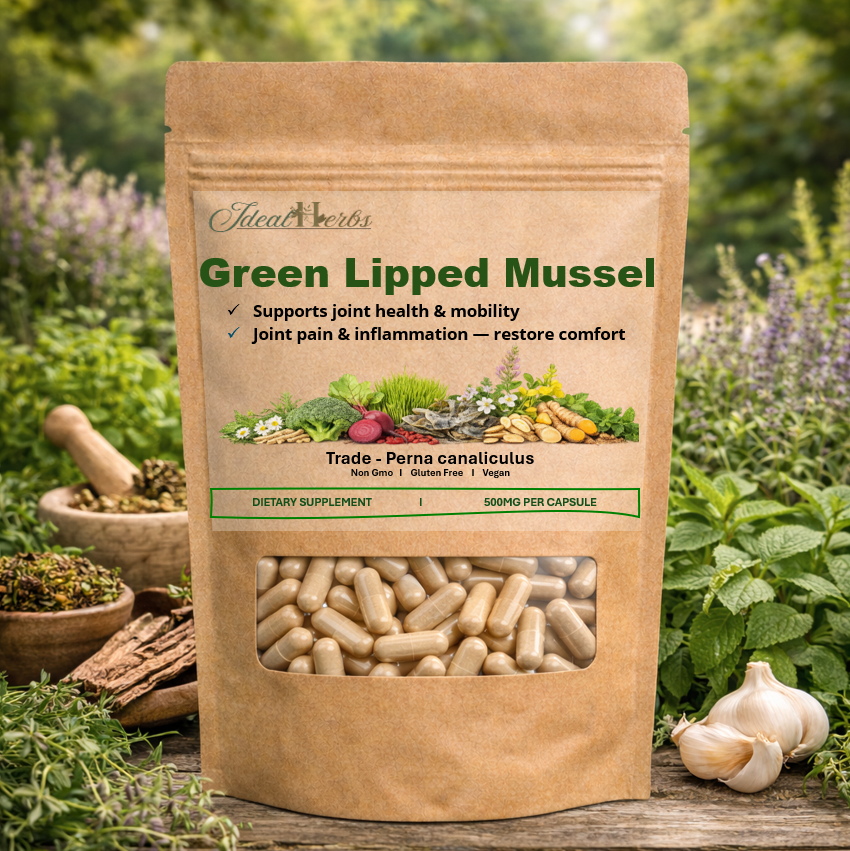 GREEN LIPPED MUSSEL