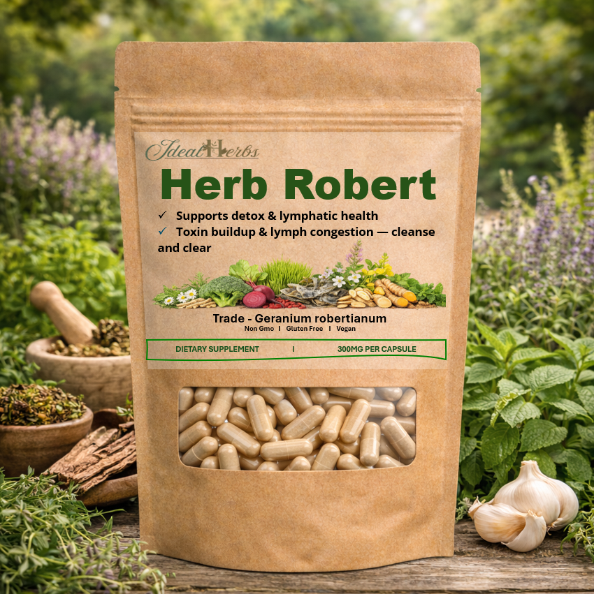 HERB ROBERT