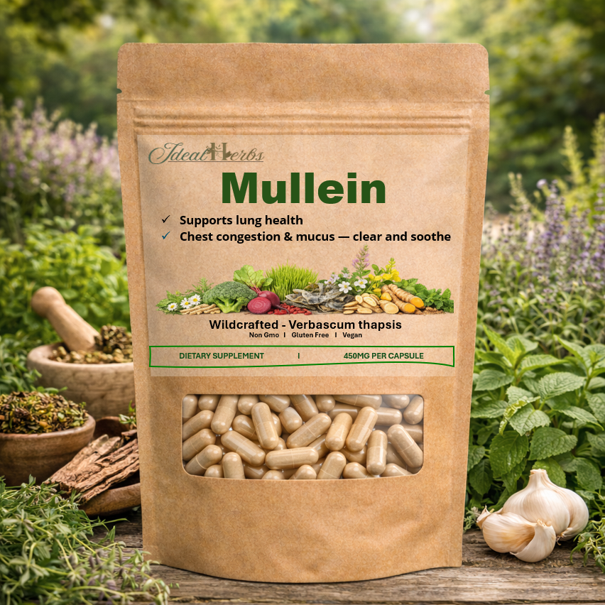 MULLEIN