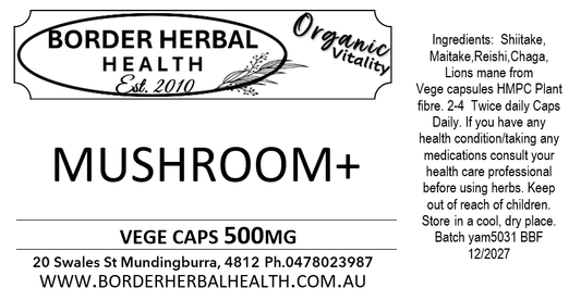 Mushroom+