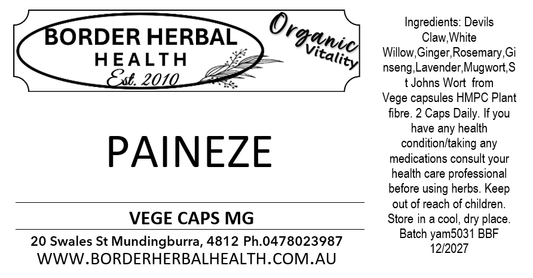 Paineze Recipe