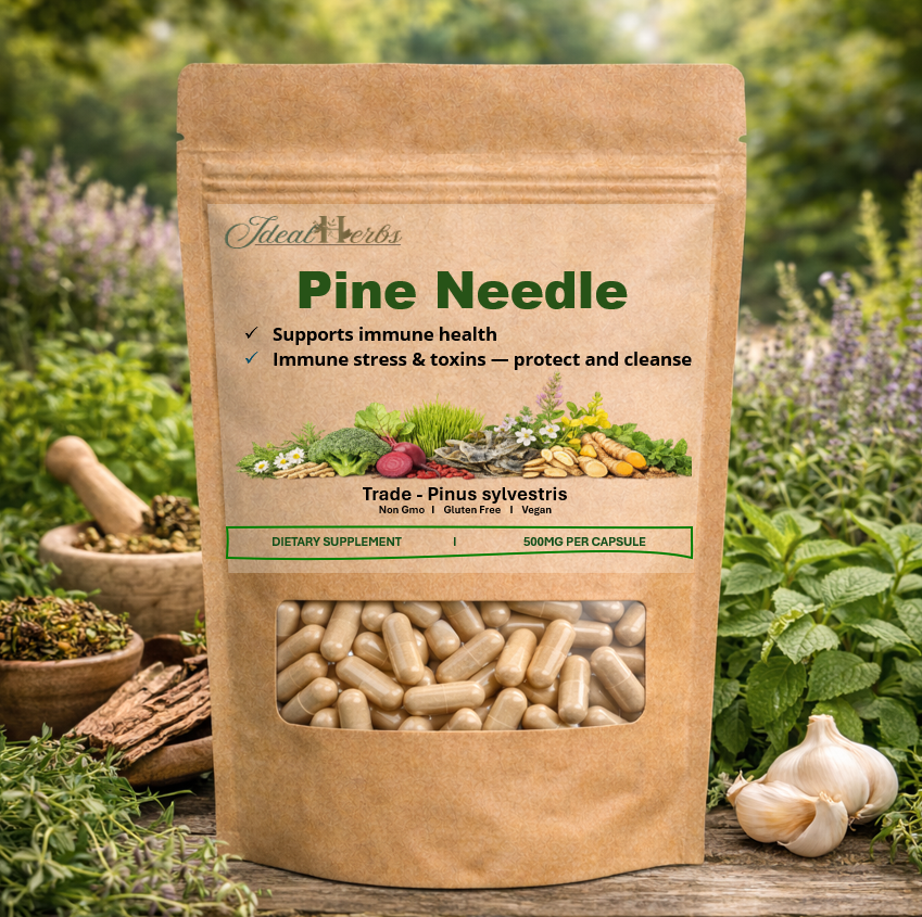 PINE NEEDLE