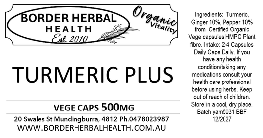 Turmeric Plus