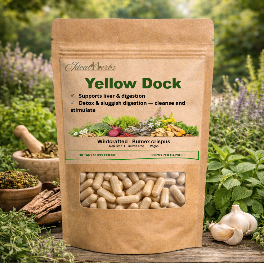 YELLOW DOCK